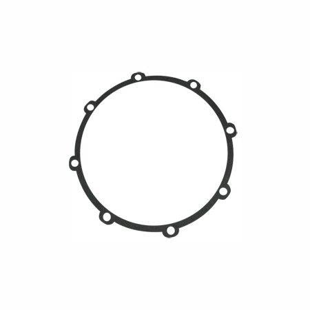 S09943 Balance ring gasket
